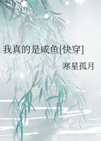 �����������[�촩]