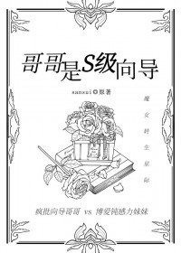 哥哥是S级向导